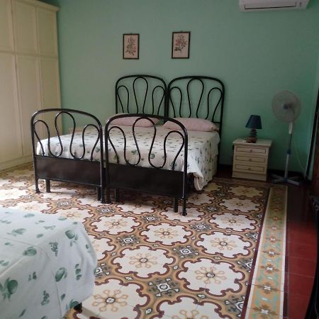 Bed and Breakfast Il Cactus à San Giovanni Incarico Extérieur photo